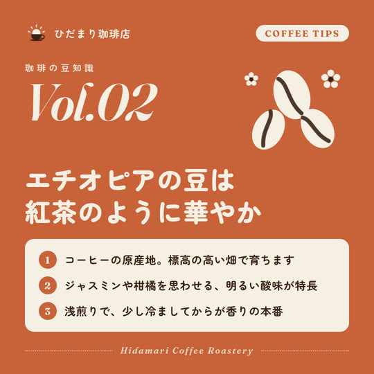 ひだまり珈琲店の豆知識投稿サンプル。テラコッタ地にコーヒー豆と花のイラスト、産地の特長3点をカードで紹介